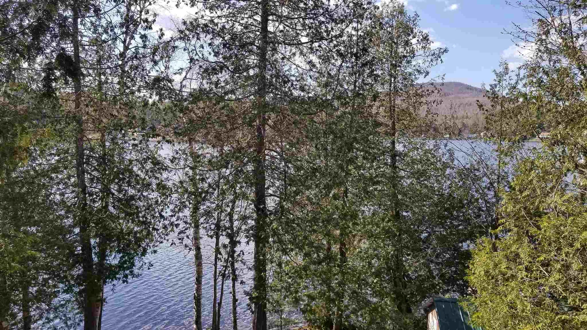 116 Cedar Pond Drive Milan NH 03588