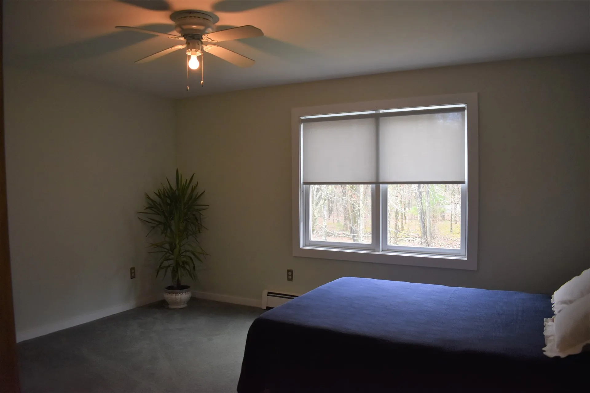 210 Wildlife Road Salisbury VT 05769