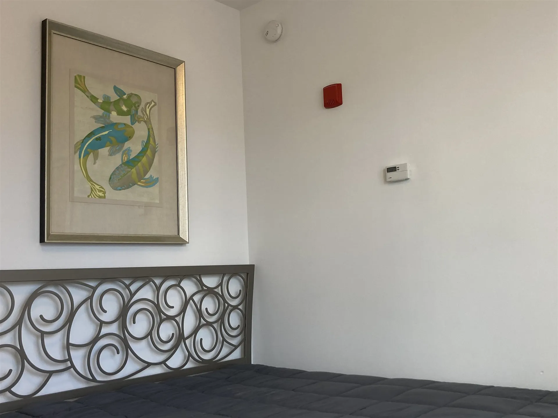 193 Saint Paul Street Burlington VT 05401