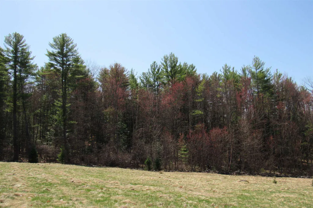 Apple Tree Lane Hopkinton NH 03229