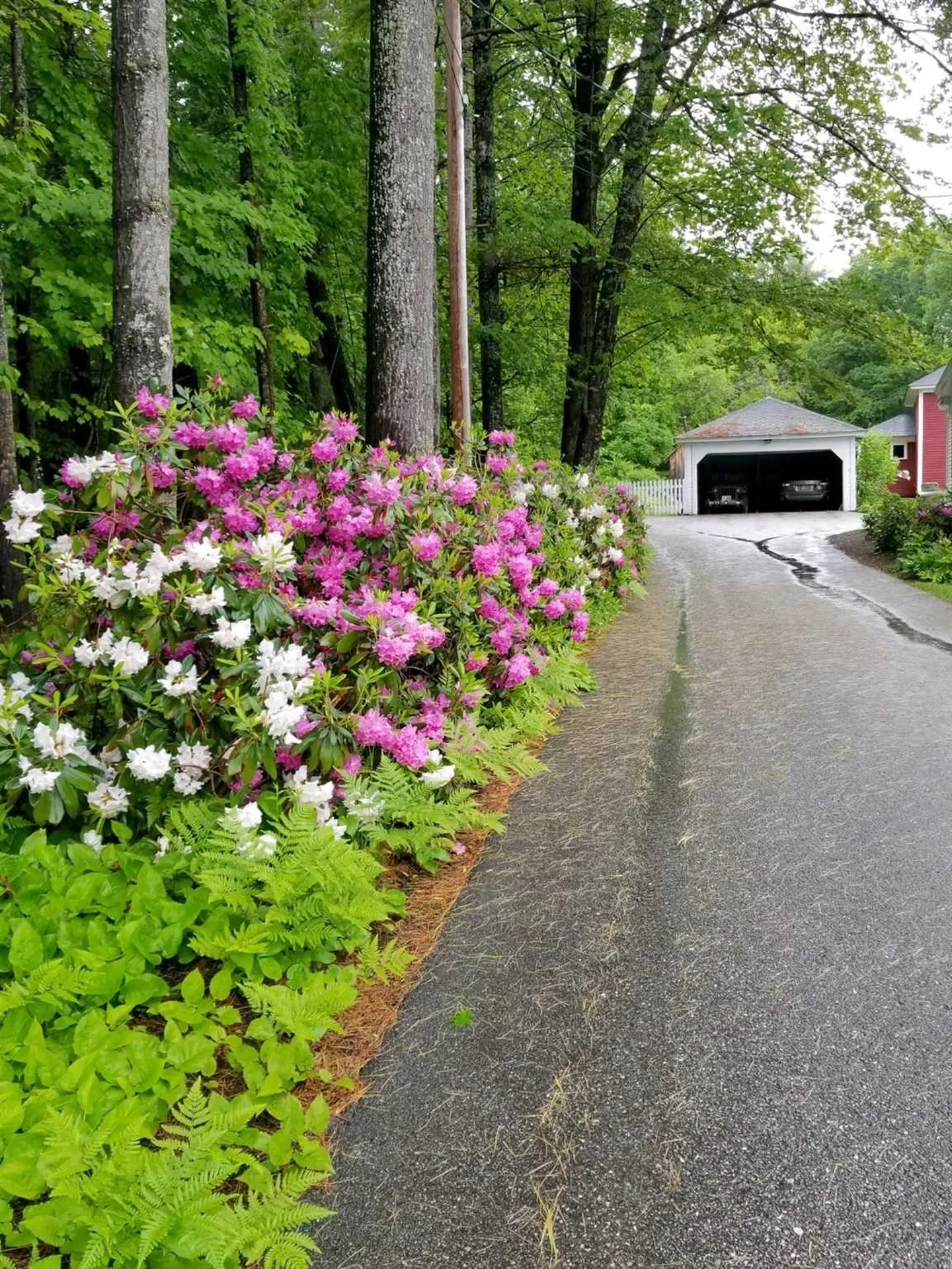 63 Sewall Road Wolfeboro NH 03894