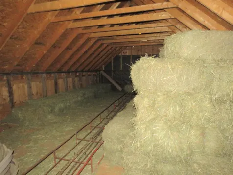 291 Glover Road Barton VT 05822