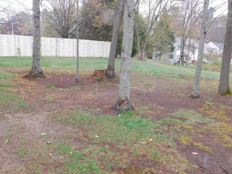 203 Deer Lane Colchester VT 05446