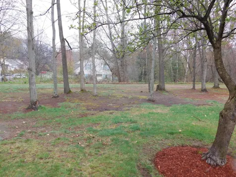 203 Deer Lane Colchester VT 05446