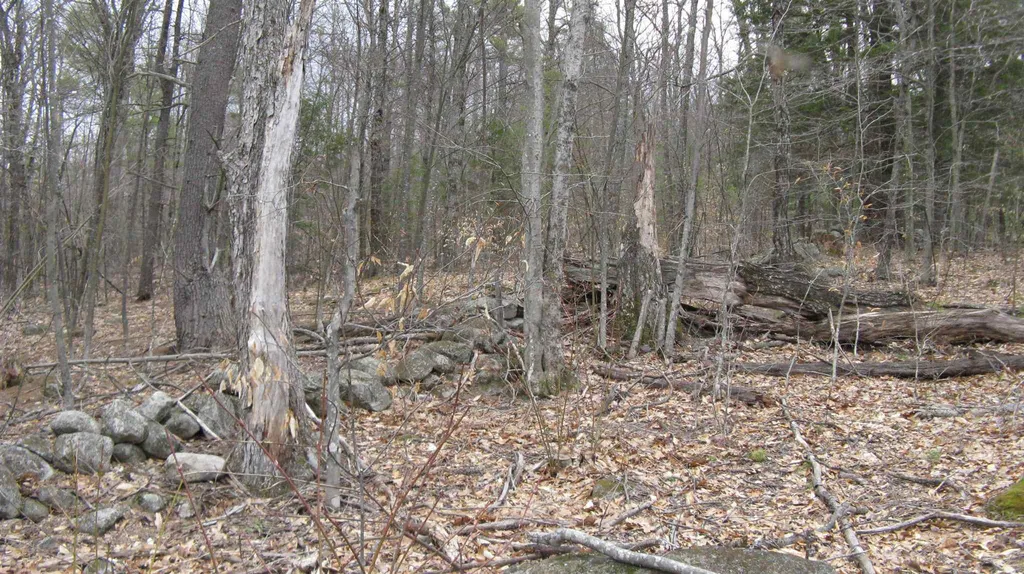Lot 68 Drew Hill Road Alton NH 03809