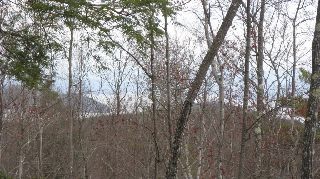 Lot 68 Drew Hill Road Alton NH 03809