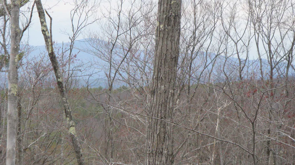 Lot 68 Drew Hill Road Alton NH 03809