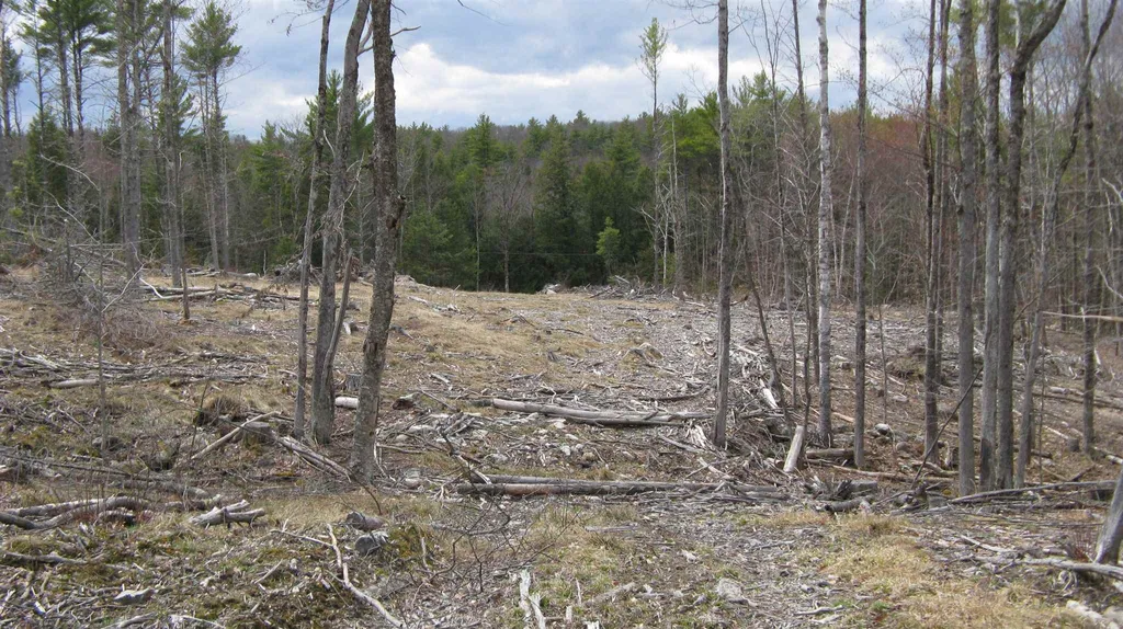 Lot 68 Drew Hill Road Alton NH 03809