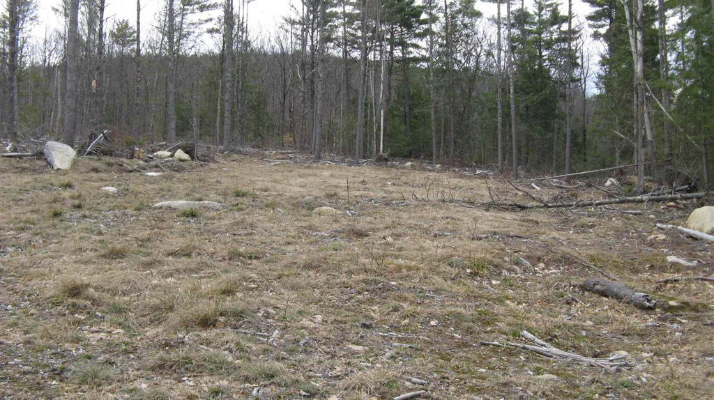 Lot 68 Drew Hill Road Alton NH 03809