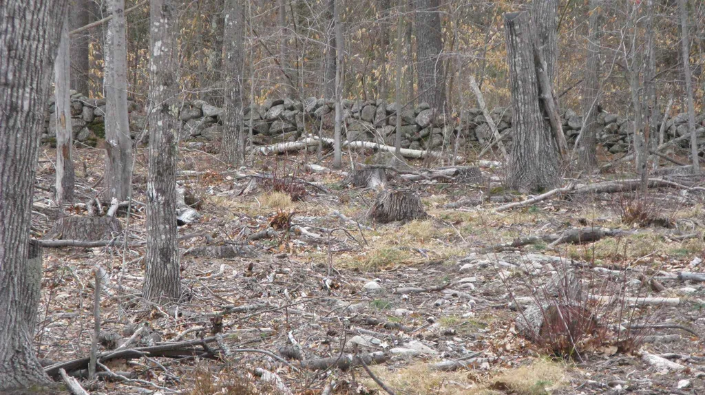 Lot 68 Drew Hill Road Alton NH 03809