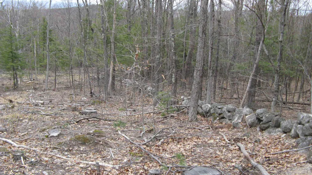 Lot 68 Drew Hill Road Alton NH 03809