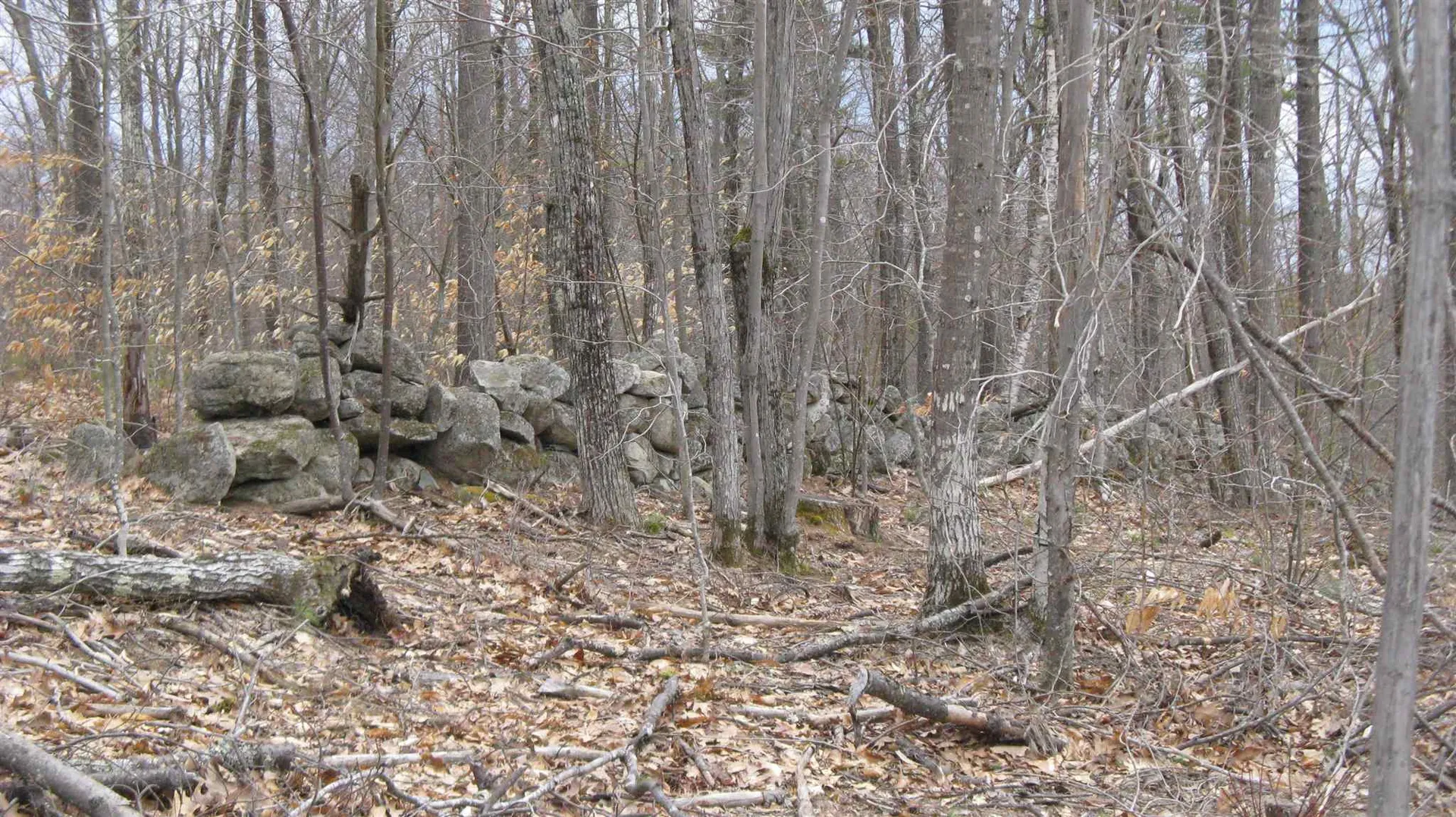 Lot 68 Drew Hill Road Alton NH 03809