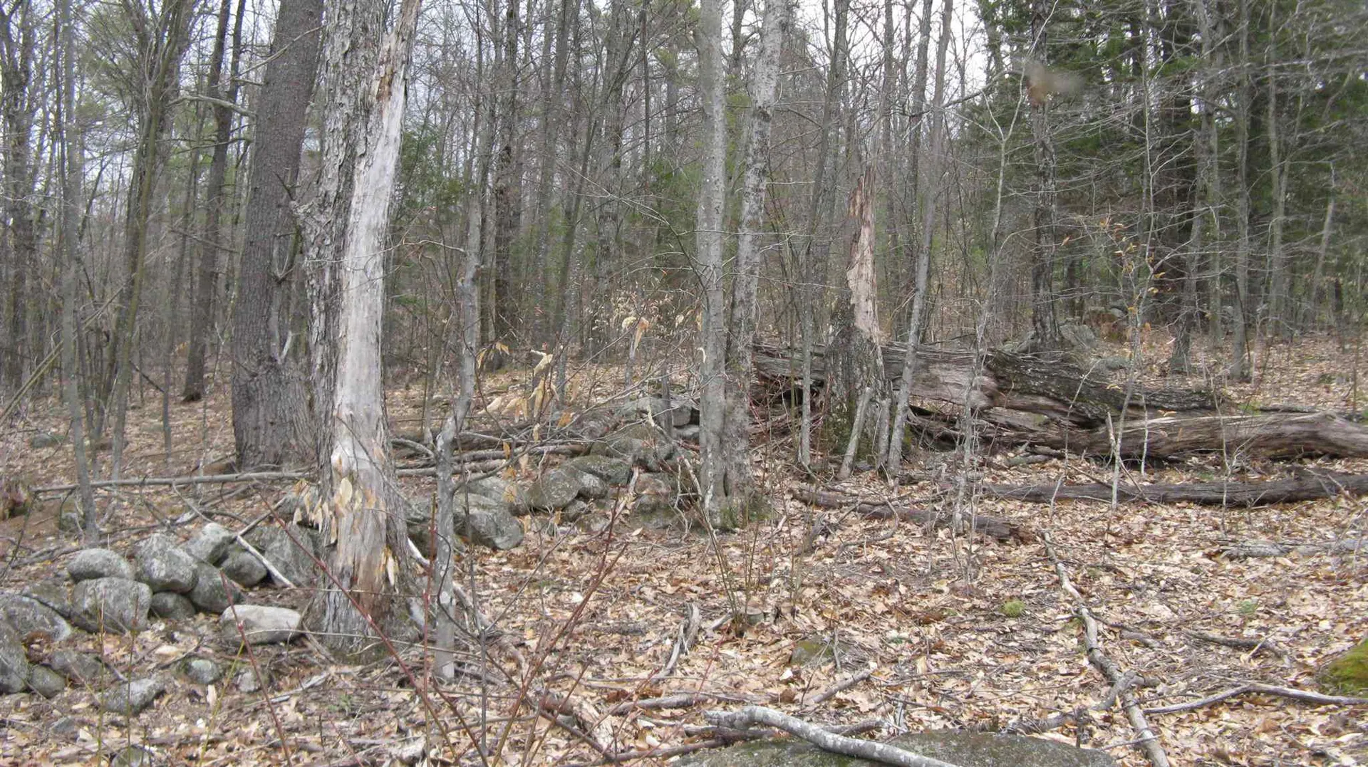 Lot 68 Drew Hill Road Alton NH 03809