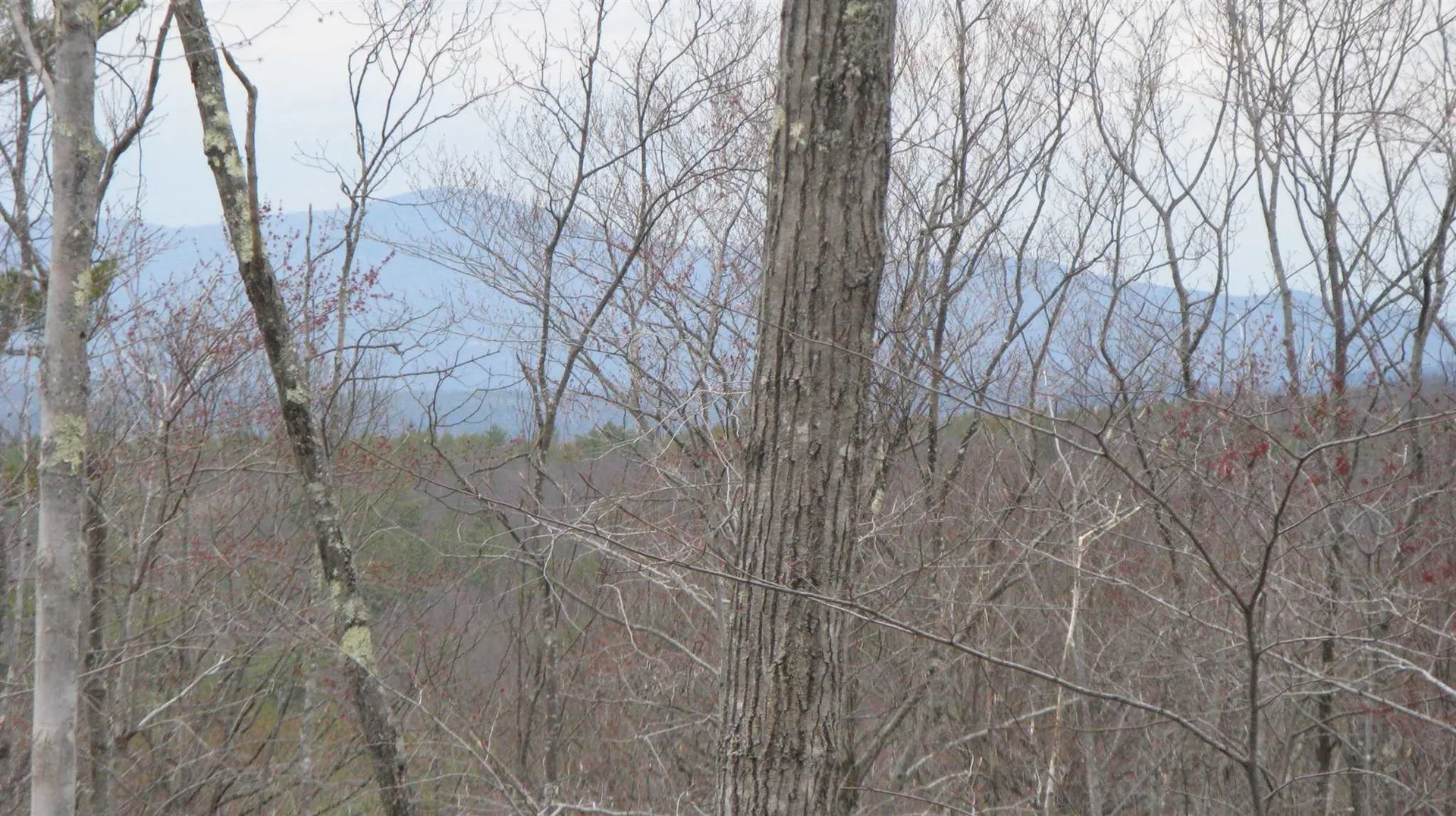 Lot 68 Drew Hill Road Alton NH 03809