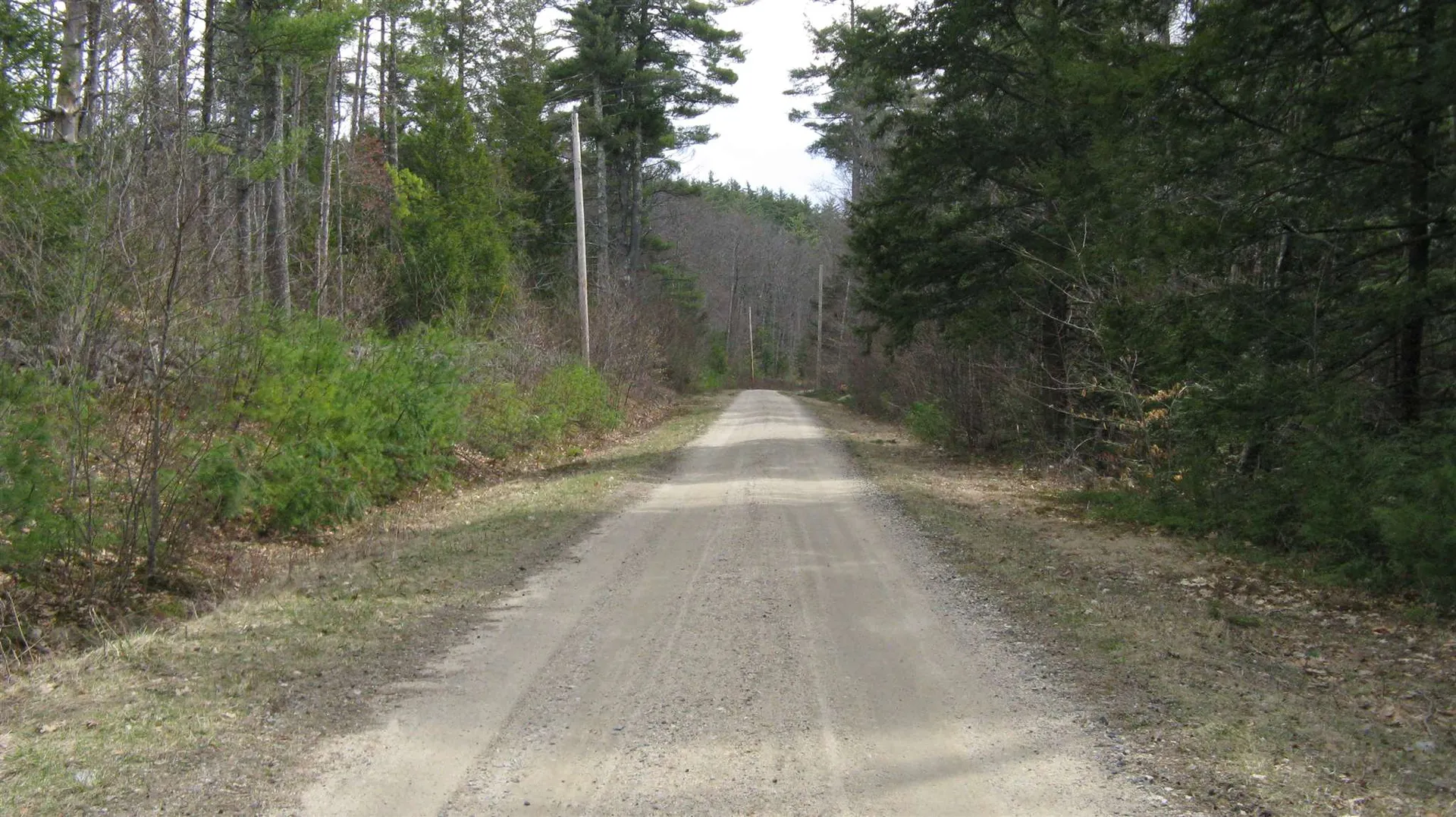 Lot 68 Drew Hill Road Alton NH 03809
