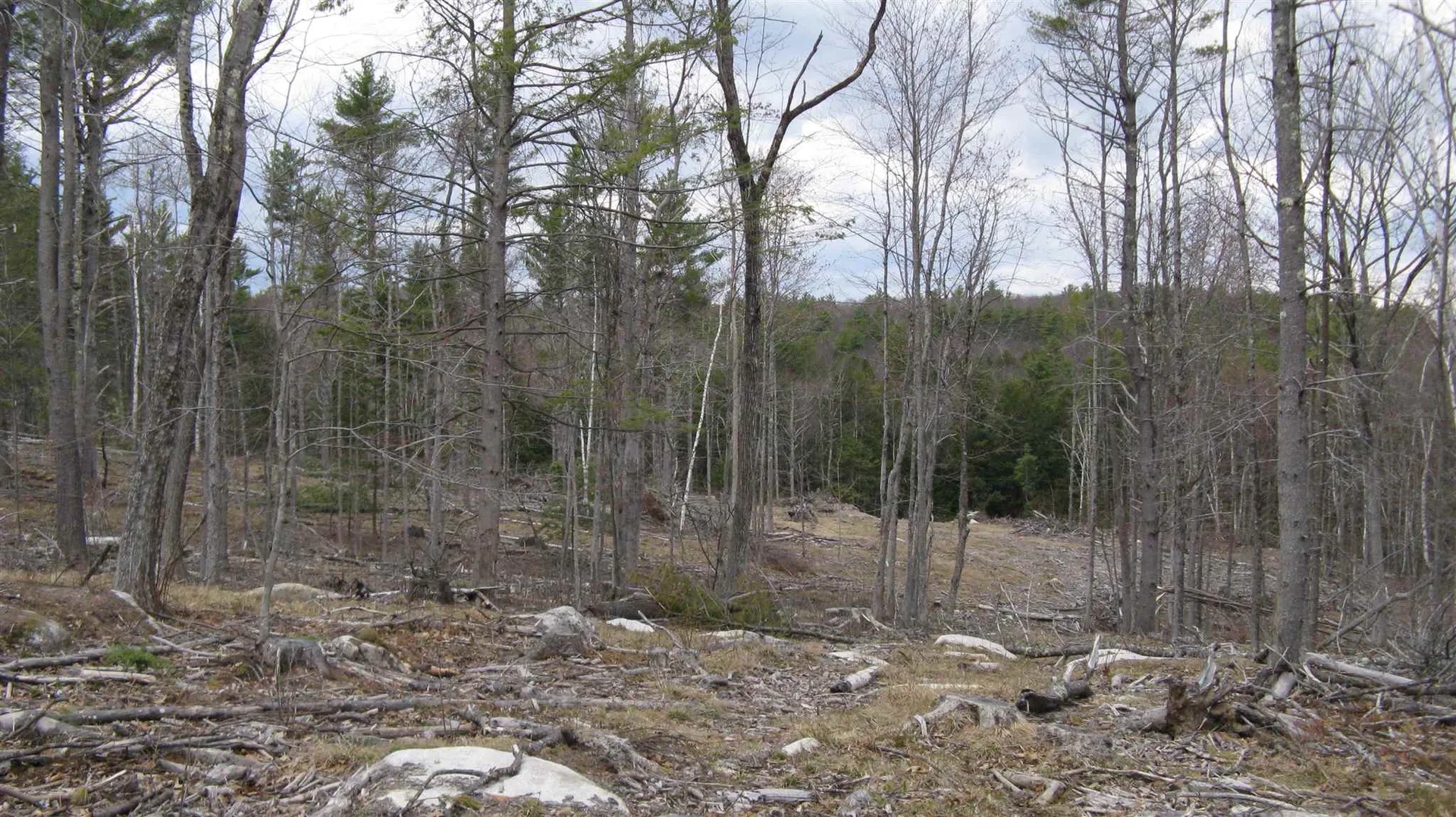 Lot 68 Drew Hill Road Alton NH 03809