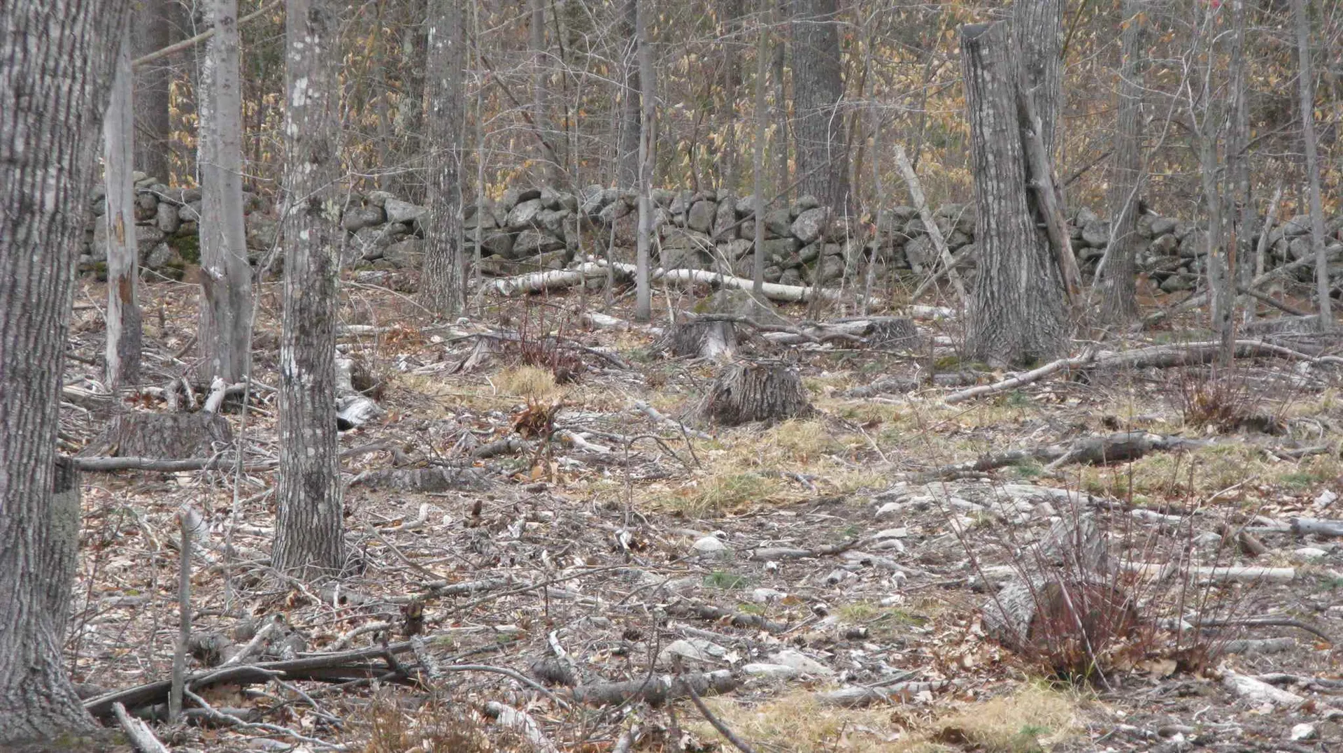 Lot 68 Drew Hill Road Alton NH 03809