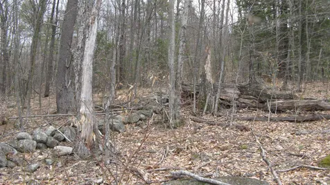 Lot 68 Drew Hill Road Alton NH 03809