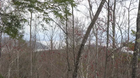 Lot 68 Drew Hill Road Alton NH 03809