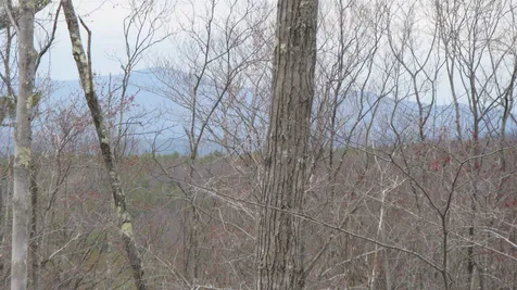 Lot 68 Drew Hill Road Alton NH 03809