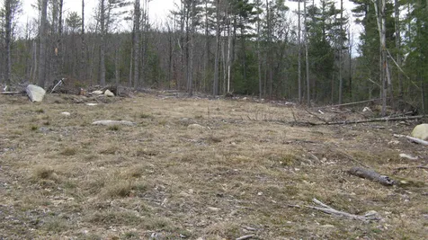 Lot 68 Drew Hill Road Alton NH 03809