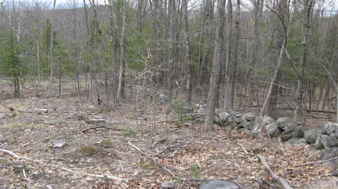 Lot 68 Drew Hill Road Alton NH 03809