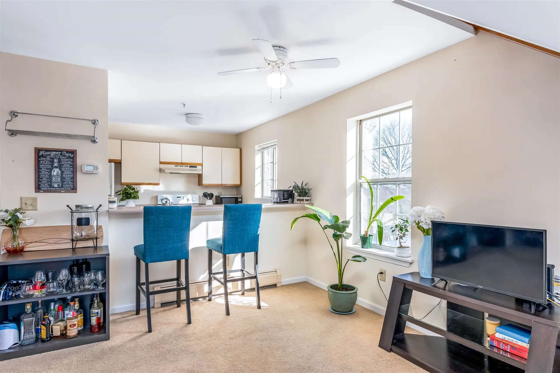 117 Hildred Drive Burlington VT 05401