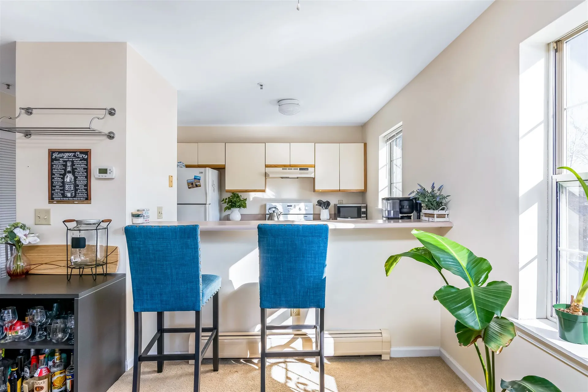 117 Hildred Drive Burlington VT 05401