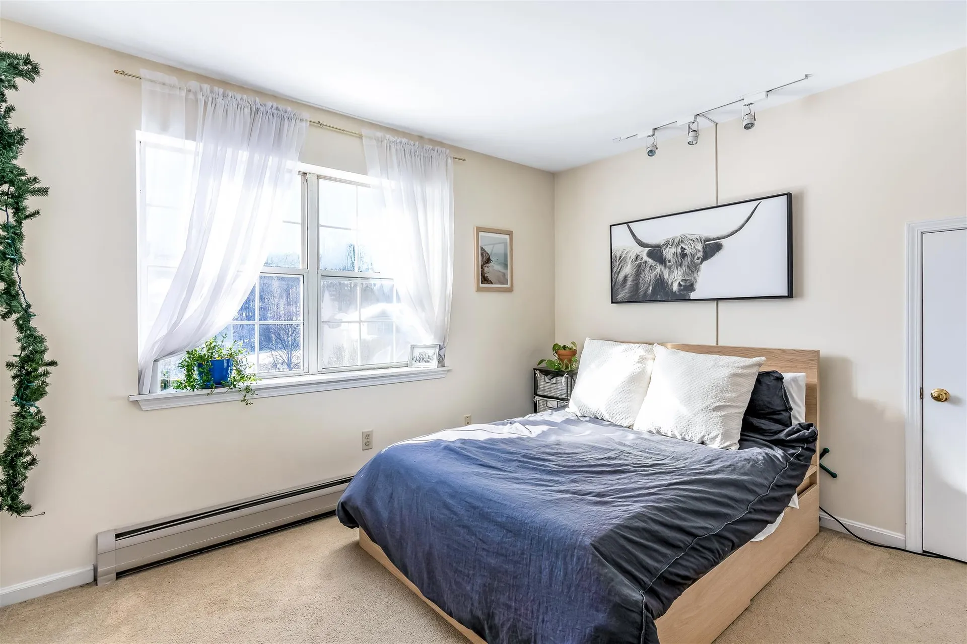 117 Hildred Drive Burlington VT 05401