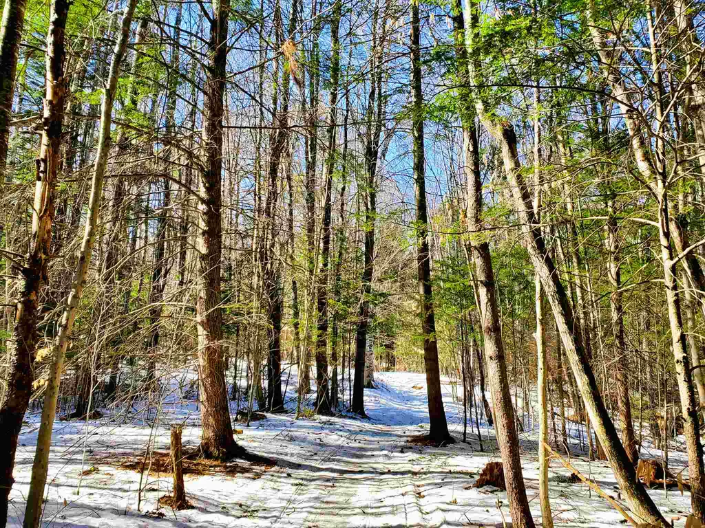 84 Walker Road Athens VT 05143