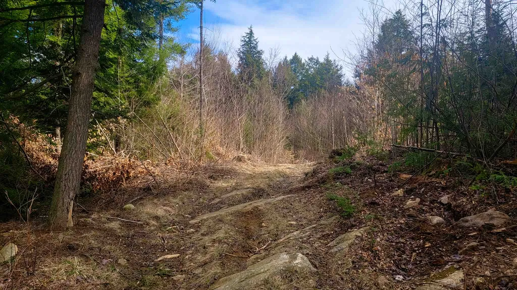 84 Walker Road Athens VT 05143