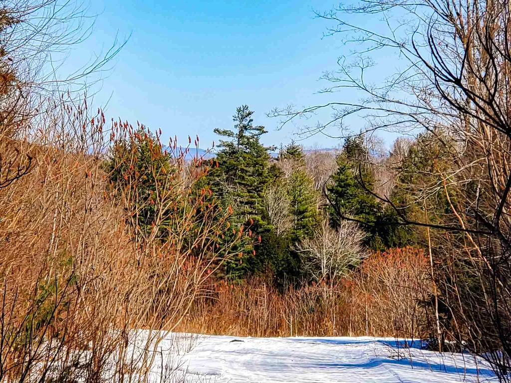 84 Walker Road Athens VT 05143