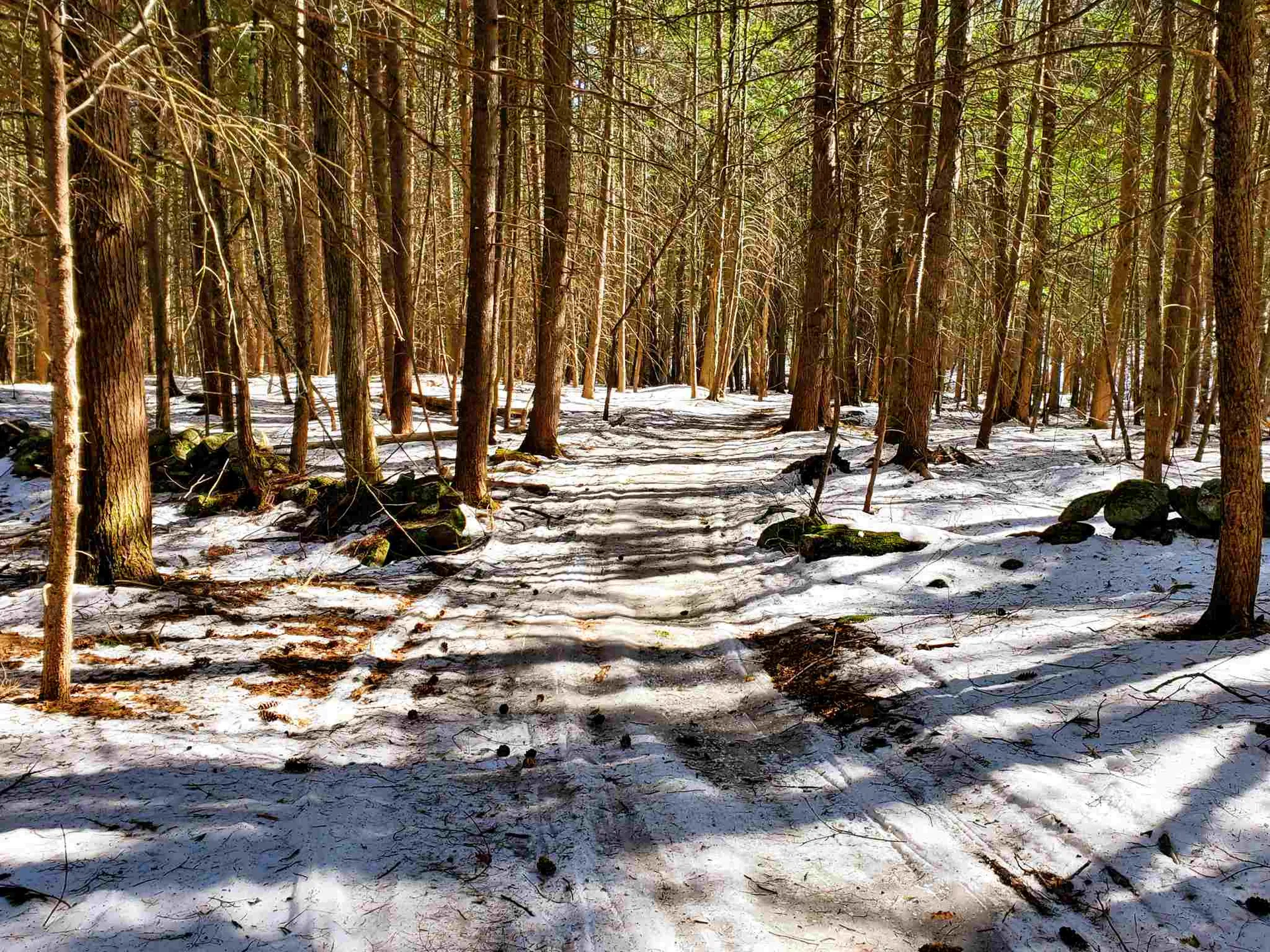 84 Walker Road Athens VT 05143