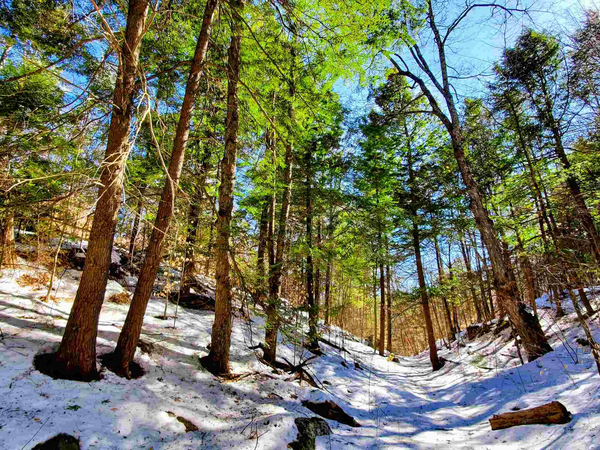 84 Walker Road Athens VT 05143