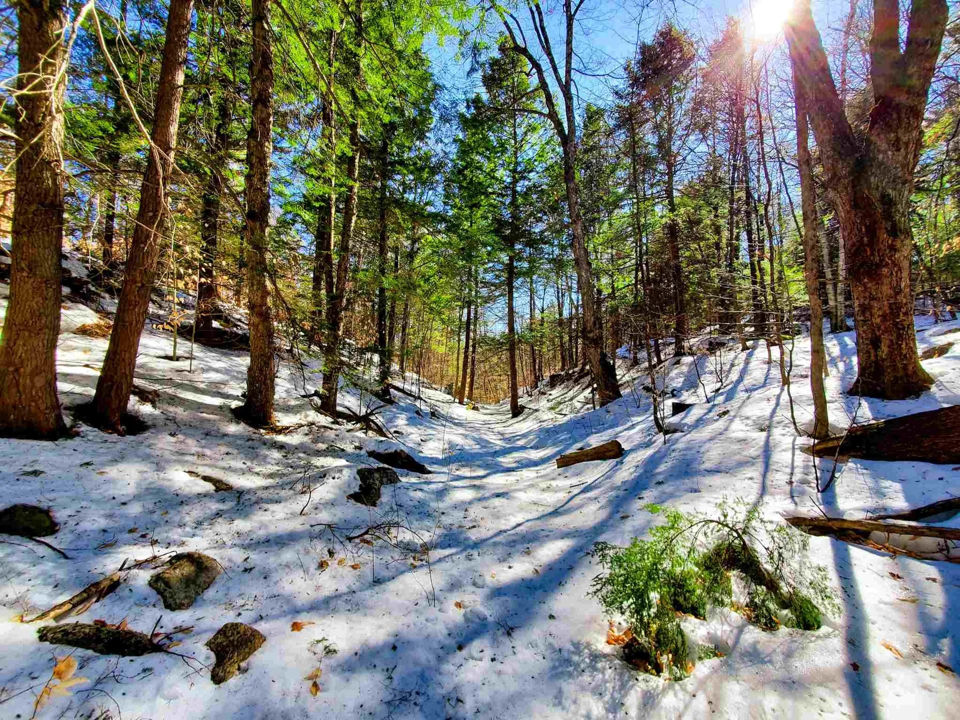 84 Walker Road Athens VT 05143