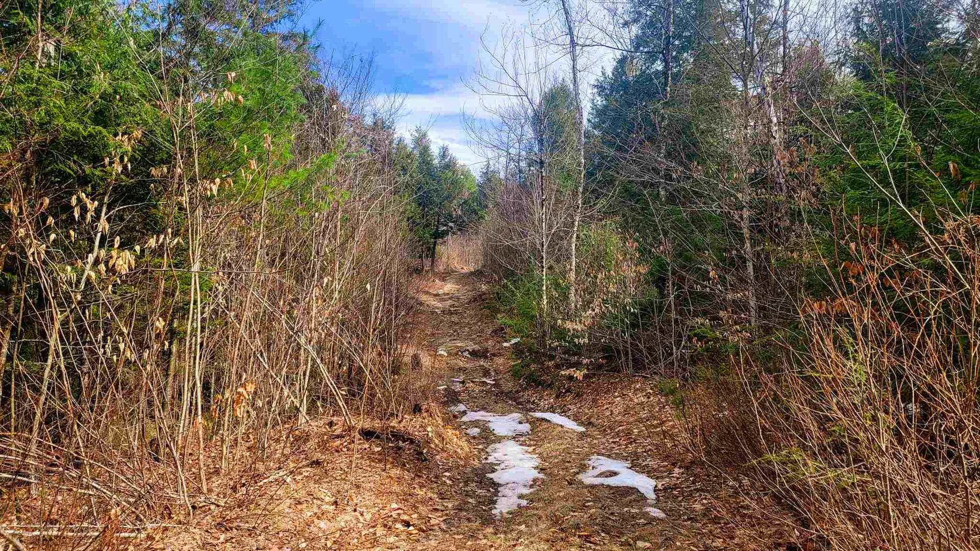 84 Walker Road Athens VT 05143