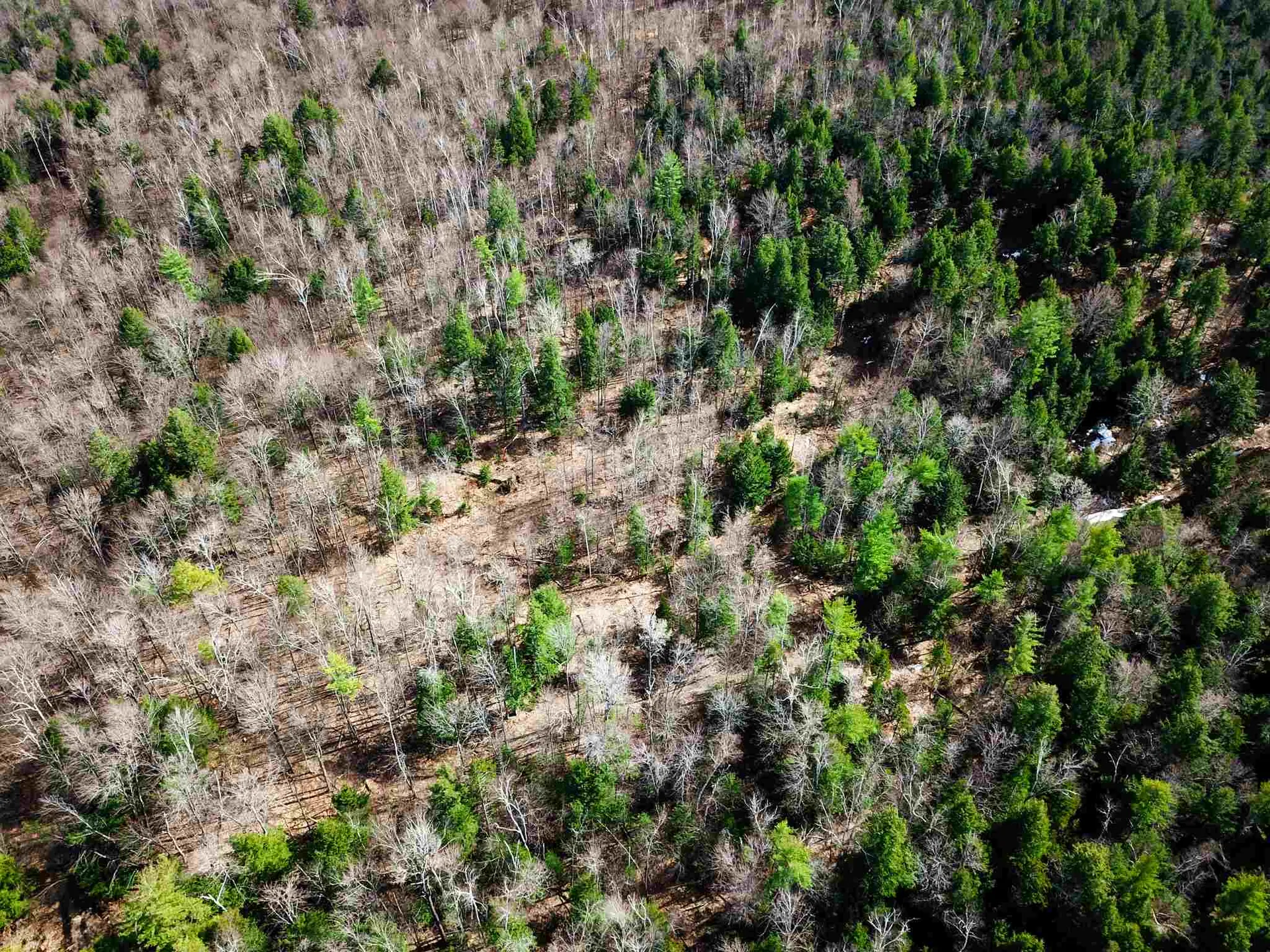 84 Walker Road Athens VT 05143