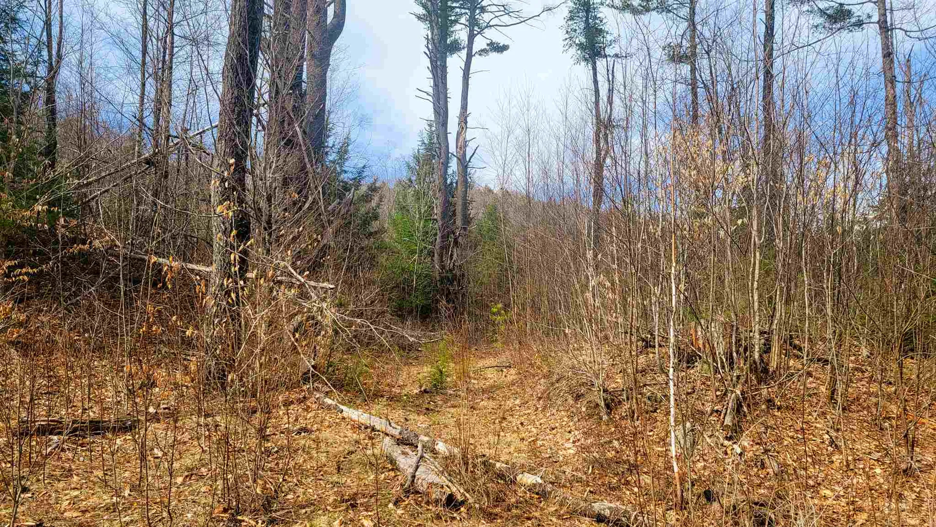 84 Walker Road Athens VT 05143