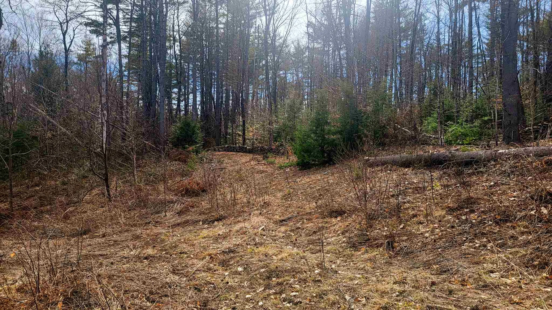84 Walker Road Athens VT 05143