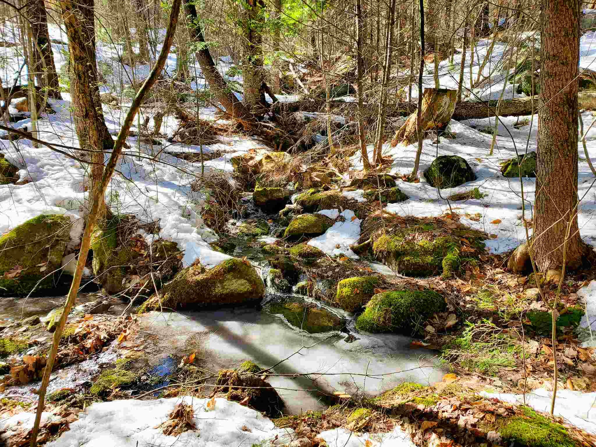 84 Walker Road Athens VT 05143