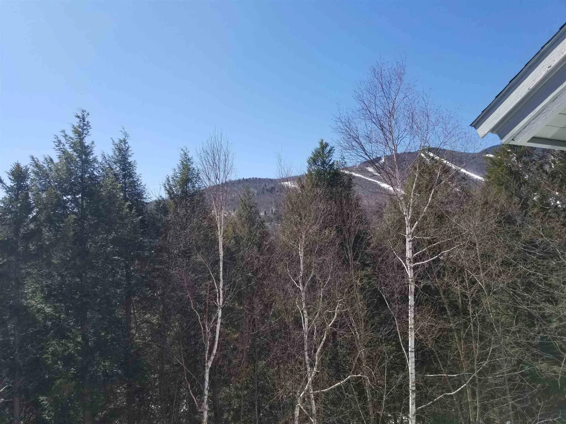 Bridges 80 102 Upper Phase Road Warren VT 05674