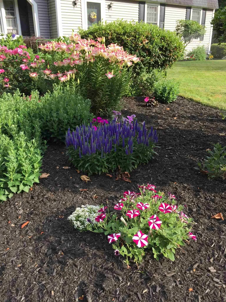 50 Edgewood Drive Hampton NH 03842