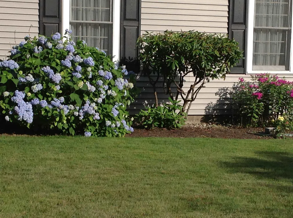 50 Edgewood Drive Hampton NH 03842