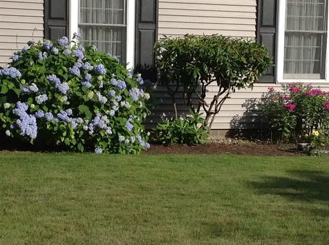 50 Edgewood Drive Hampton NH 03842