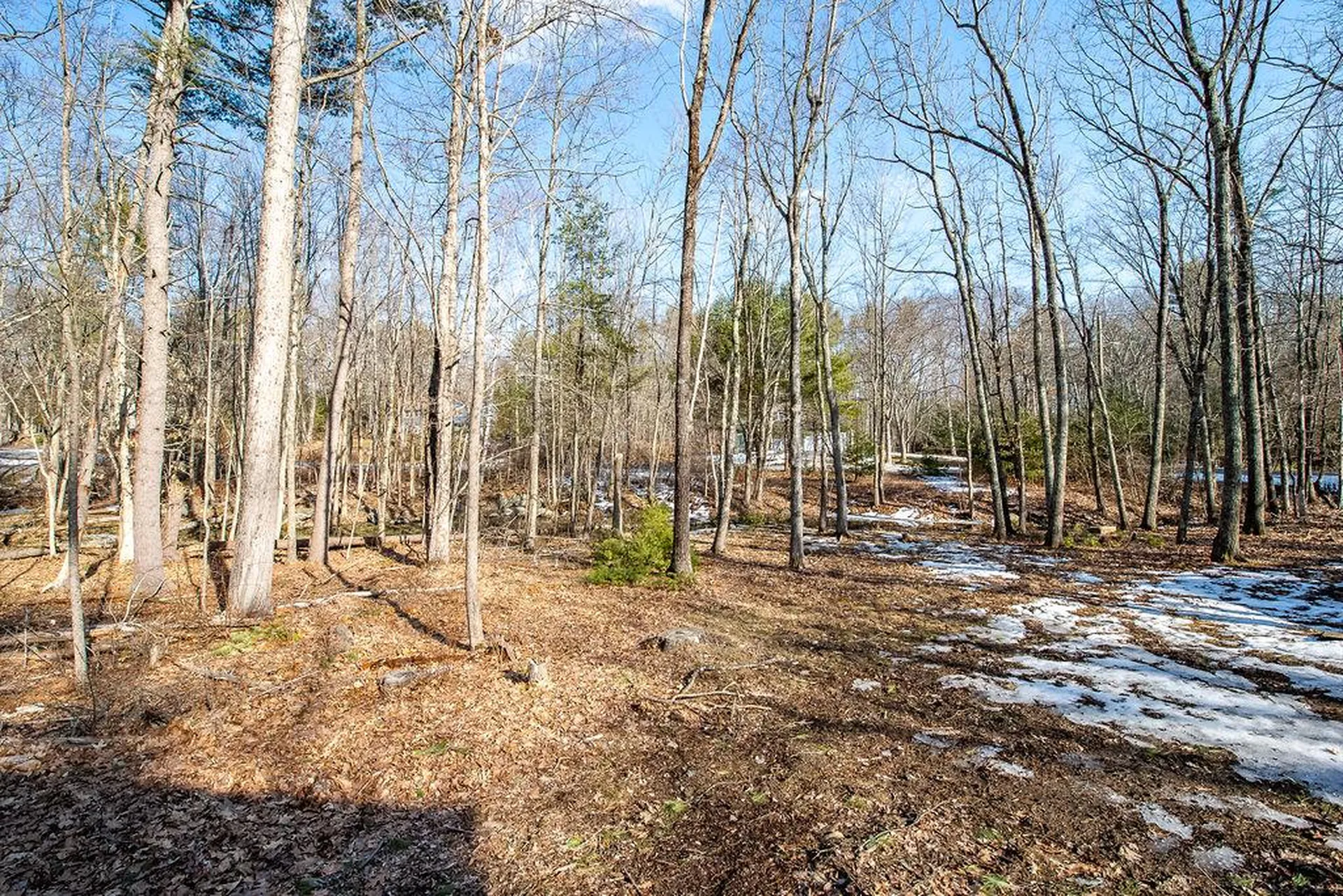 51 Longmarsh Road Durham NH 03824