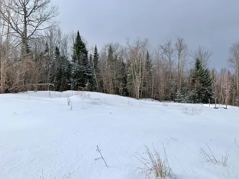 794 Bonin Road Newport Town VT 05857