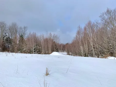 794 Bonin Road Newport Town VT 05857