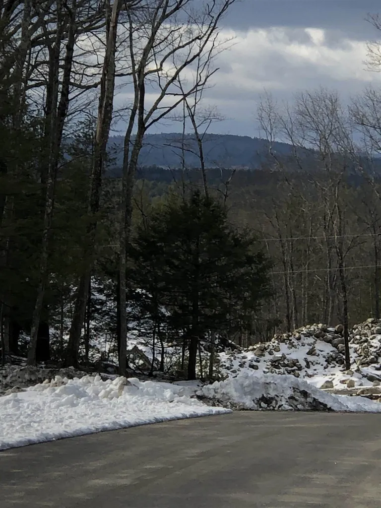 19 Whitetail Ridge Merrimack NH 03054