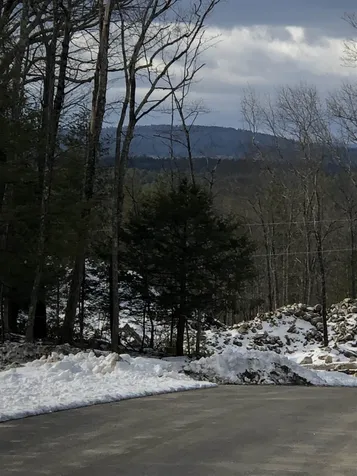 19 Whitetail Ridge Merrimack NH 03054