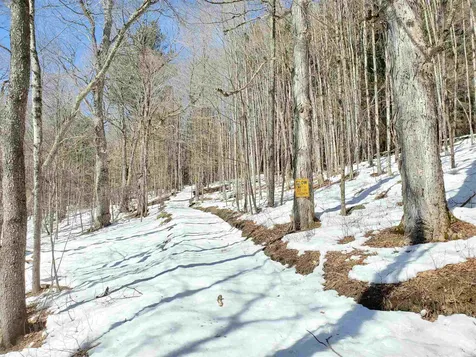 76 & 78 East Main Street Wilmington VT 05363